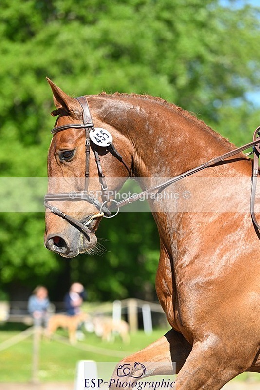 230526-093151-05464 - 455-HHS_DASSETT_CLASS-Kate_Rocher-Smith-DR