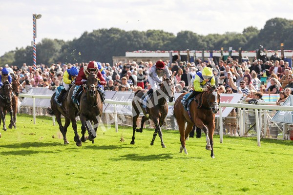 230824-Race 5-Canoodled-8502 - Race 5 4.10pm Assured Data Protection EBF Fillies' Handicap