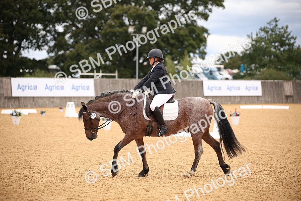 SBM_09100 - D8 Small Tour Championship Prelim 7