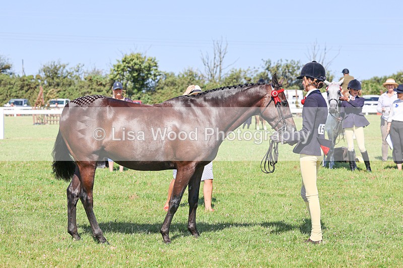 IMG_1947 - Class 33: Show Pony 148cm and under