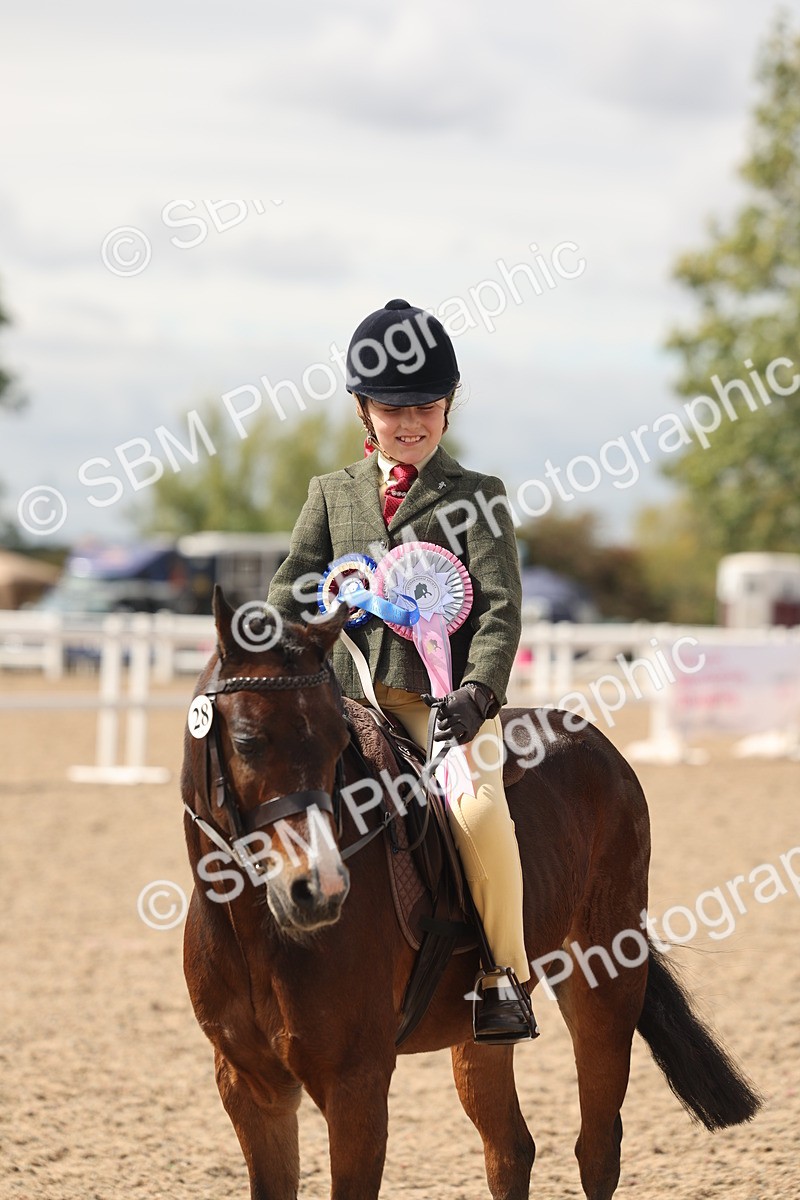 SBM_15929 - Class 310 - First Ridden Pony