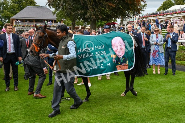 220824-Race 2-Diligently-6543 - Race 2 2.25pm Harry's Half Million By Goffs Premier Yearling Stakes