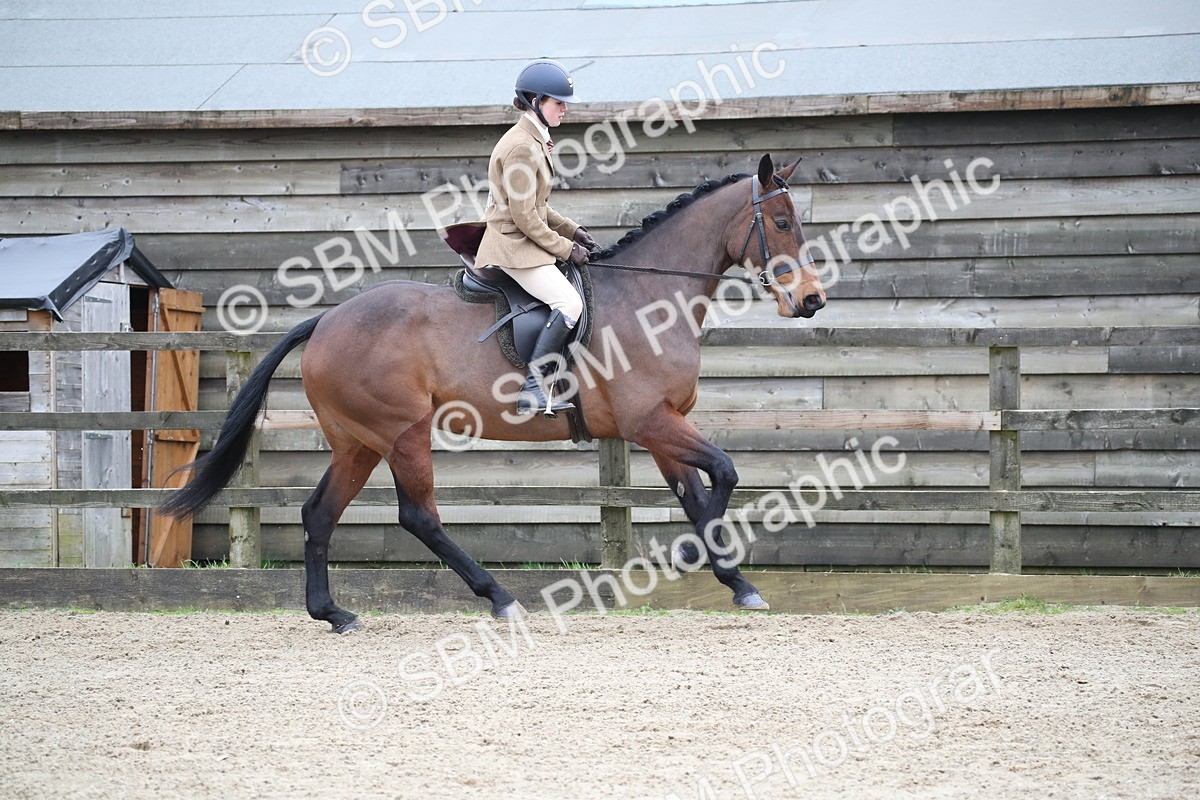 SBM_004741 - Class 5-9 - NPS In Hand-Show Hunter-Intermediate Ridden Inc Ridden Championship