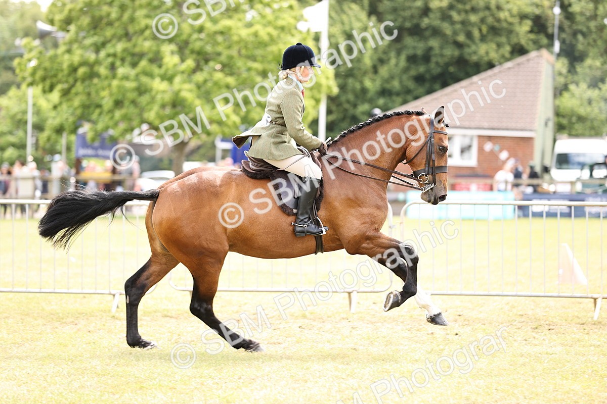 SBM_14717 - Class 88-89 - LIHS BSHA Rising Star of Ridden Hunter Type