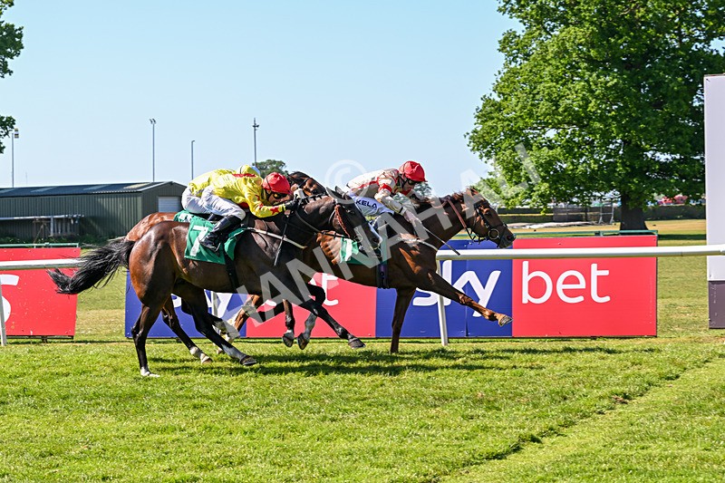 170525-Race 5-Mirsky-8517 - Race 5