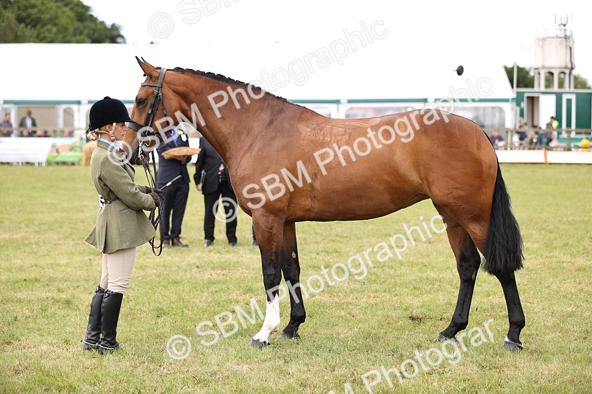 SBM_14744 - Class 88-89 - LIHS BSHA Rising Star of Ridden Hunter Type