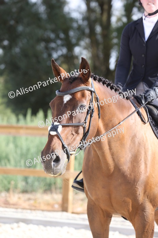 20260802-0188 - Class 5 - ROR Ridden