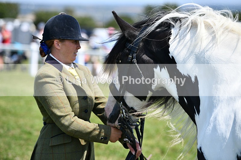 DSC_7750 - Class 64: Coloured Pony 4yrs & over