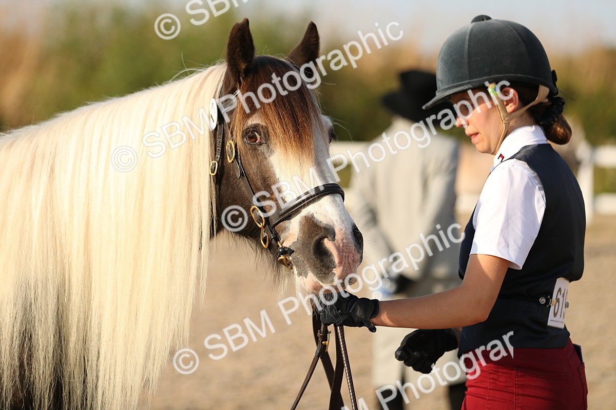 SBM_09070 - Class 29 IH Veteran Pony