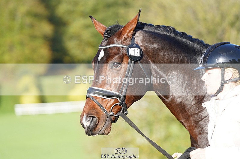 241026-101712-11753 - 012-Mollie.Summerland-SKITTEL.D'EKWI