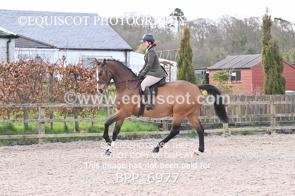 BPP_6977 - RING 1  (RIDDEN HORSES / IN HAND / VETERAN ETC)