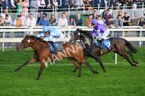 yr08102021r6-11 - Race 6 4.55pm Frank Whittle Partnership British EBF Restricted Novice Stakes