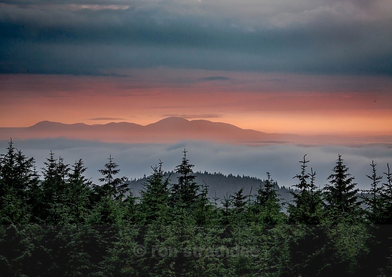 AW7C7759 - Land of Man