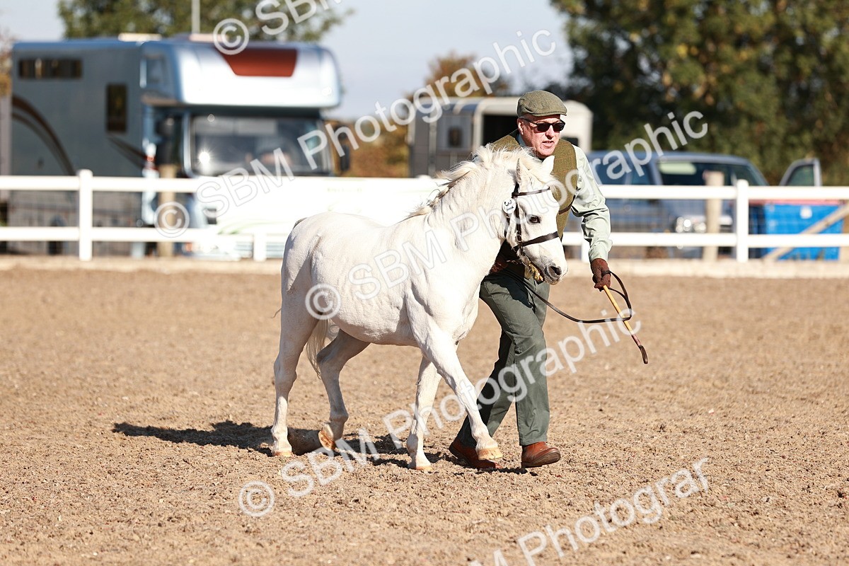 SBM_11431 - Class 402 - IH  Veteran pony