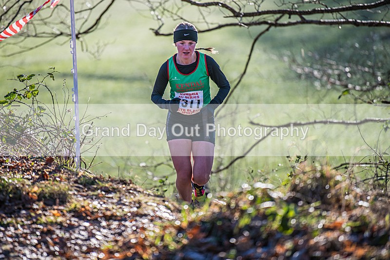 Cumbria XC-478 - Cumbria Cross Country Championships (Junior & Senior Races) Saturday 3rd January 2026