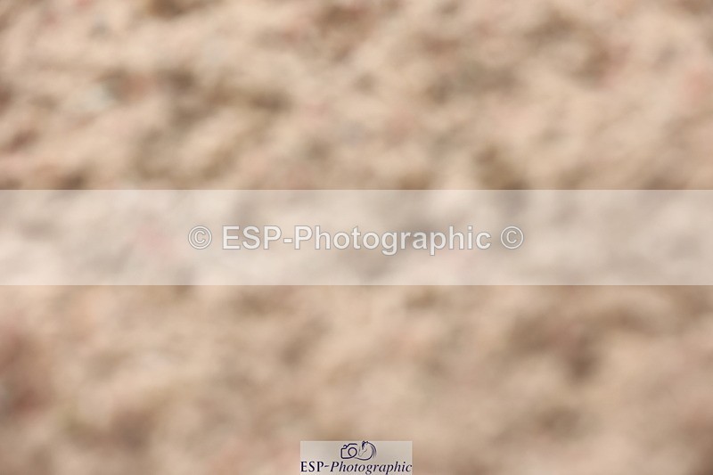 240621A-170915-05567 - Cls 4 Prelim 18