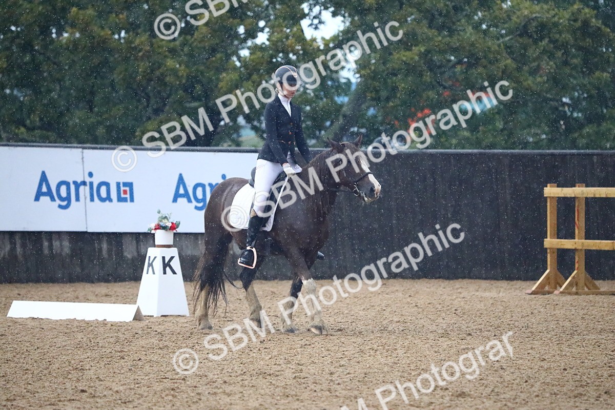 SBM_38845 - D21 - Junior Championship Intro 1