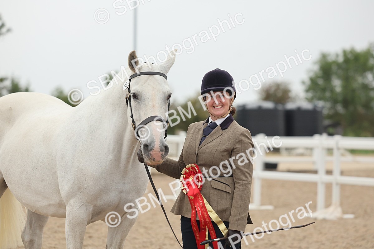 SBM_19459 - Class 317 - IH Pure Bred Horse-Pony