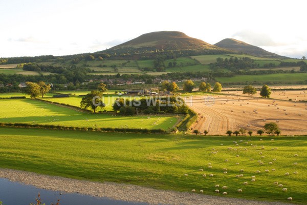 56 - SCOTTISH BORDERS