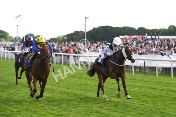 yr21052022r6-19 - Race 6: 4:42pm Yorkshire Regiment Stakes
