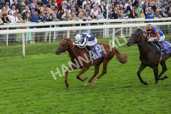 250823-Race 3-Lake Forest-5847 - Race 3 3.00pm Al Basti Equiworld Dubai Gimcrack Stakes