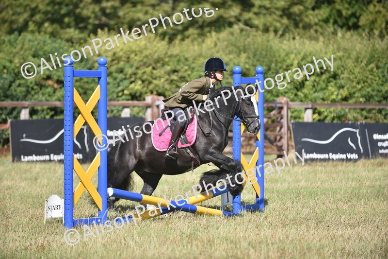 20260906-1003 - Class 7 - Absolute Novice Jumping 35cm