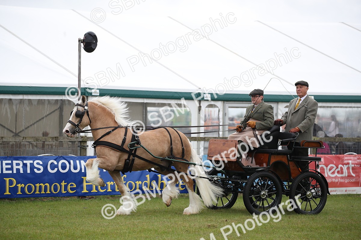 SBM_05653 - Class 12-15 - HOYS Private Driving