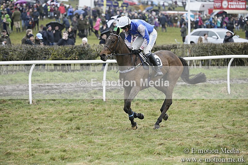 PtP 020418 -272 - Old Berks Point-to-Point Races Easter Monday 02/04/18