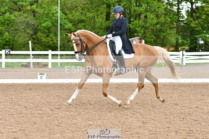 230511A-160202-01277 - BD Cls 18 FEI PSG