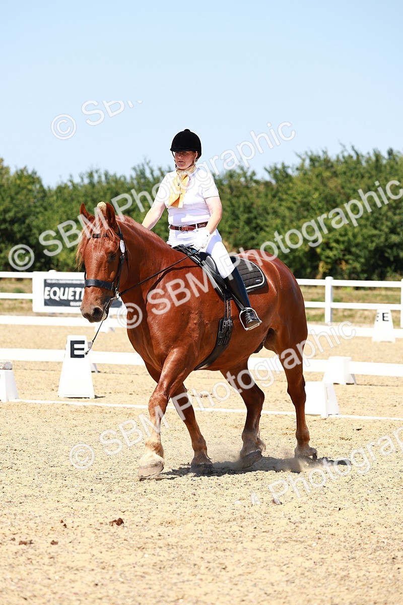 SBM_011811 - Intro 3 - 13.00-14.10