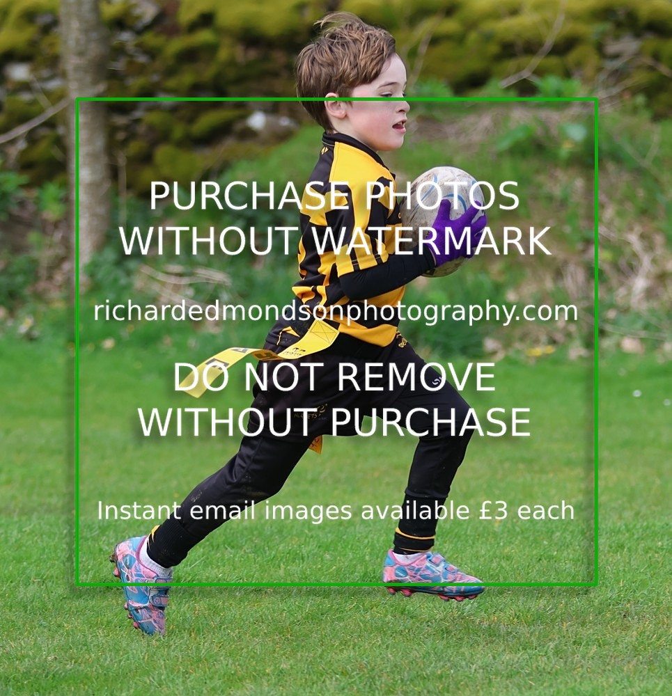 533A5336 - Kendal Rugby Under 7's (12/4/26)
