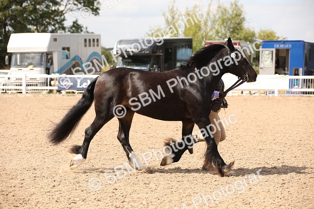 SBM_04551 - Class 20 IH Veteran