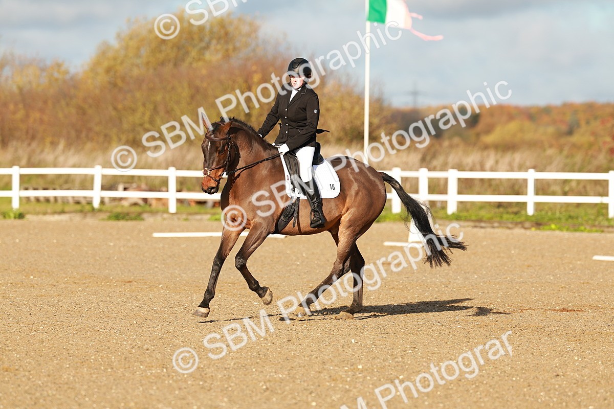 SBM_000311 - Prelim 4