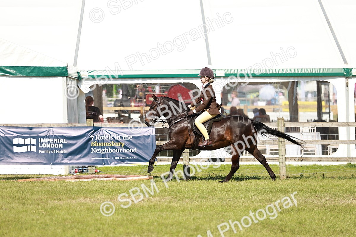 SBM_18541 - Class 112-113 - BSPS LIHS Working Sports Pony