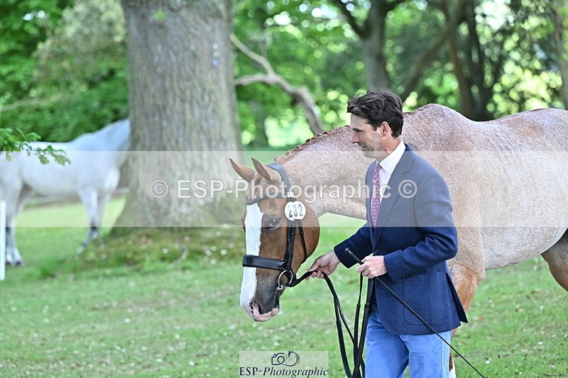 250521A-160828-00934 - C-282-Harry.Meade-NASHVILLE