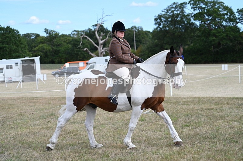 WJ7_7553 - Ridden Championship