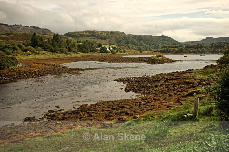 DSC00882 - the sea