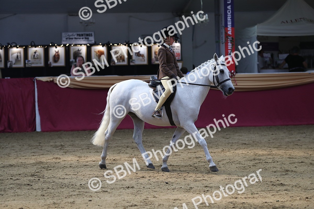 SBM_08399 - Class 11R Regional Ridden Veteran