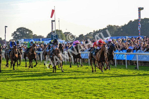 111025-Race 6-Berkshire Sundance-0616 - Race 6 Coral Racing Club Stayers Handicap at York