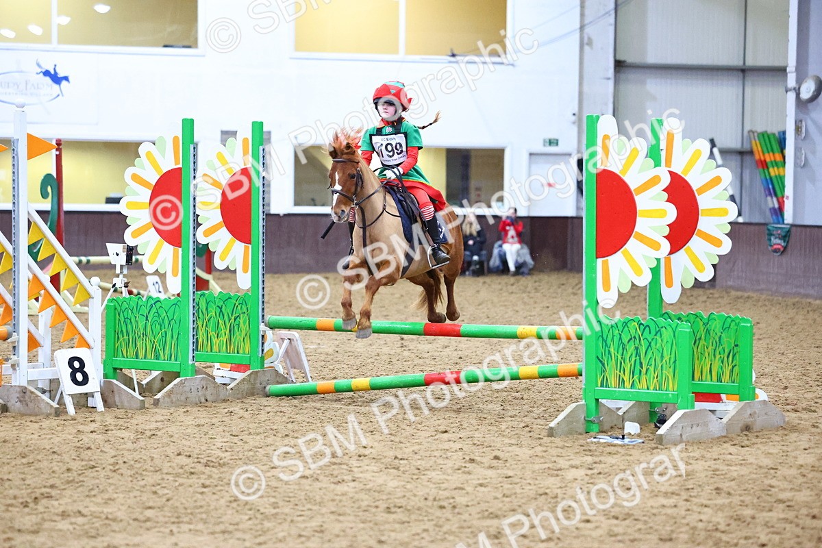 SBM_001447 - Class 3 - Christmas Tree Stakes - 60cm