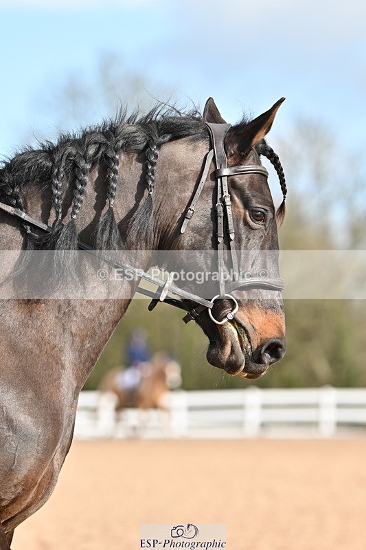 240324A-093745-00166 - Prelim 2, Start to 10am