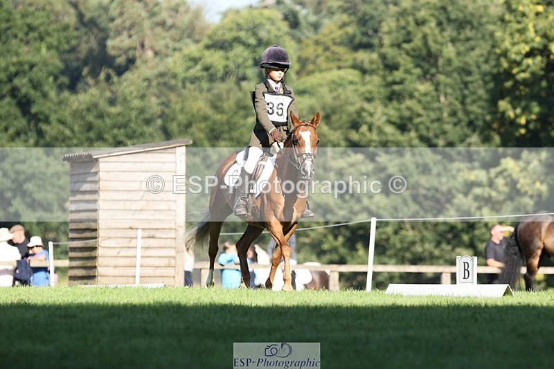 250823A-091824-25915 - Arena D