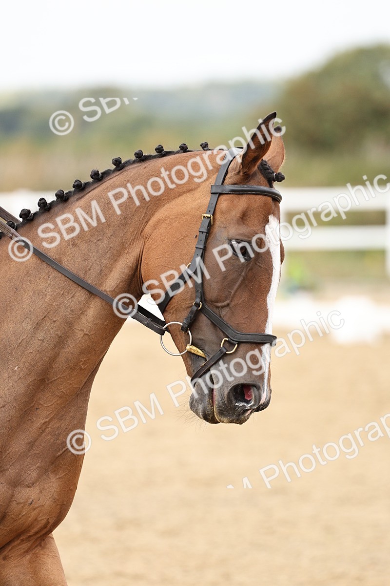 SBM_013239 - Class 3 - Novice 4 - 11.43-12.25