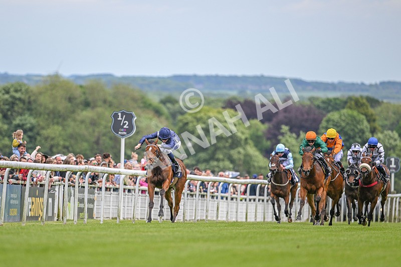 290524-Race 1-Unthinkable-6108 - Race 1