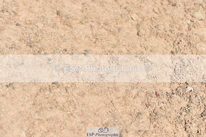 230720A-113108-02424 - Cls 29, 6 Yr Olds 1.20m