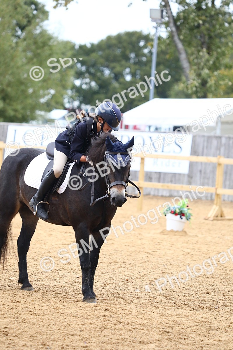 SBM_42732 - D21 - Junior Championship Intro 1