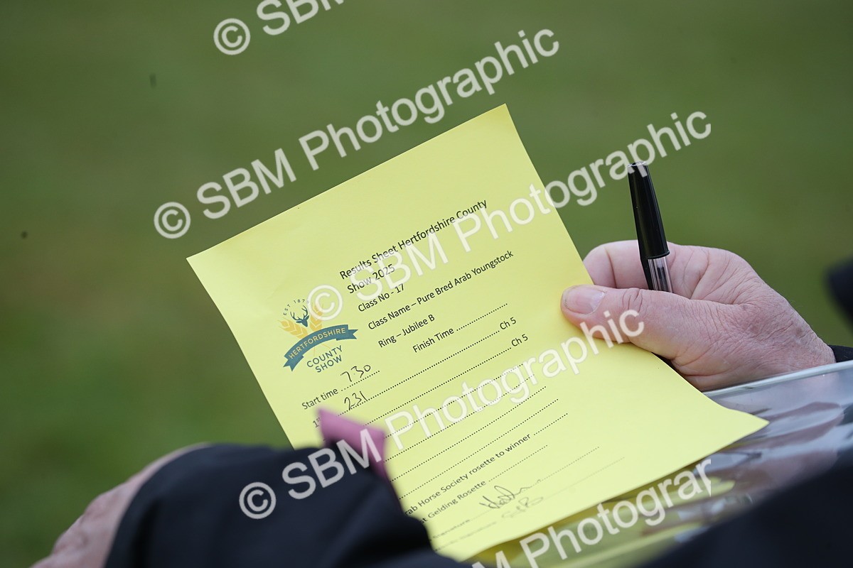 SBM_00028 - Class 17-20 - Arab & Part Bred - Anglo Arab In Hand