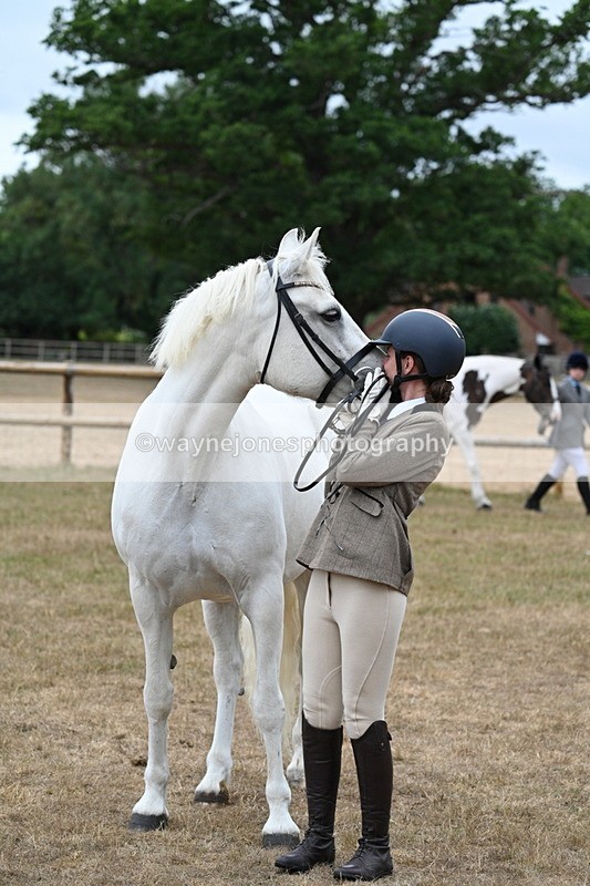 WJ7_9122 - Class 4a Prettiest Mare 14.2hh and over