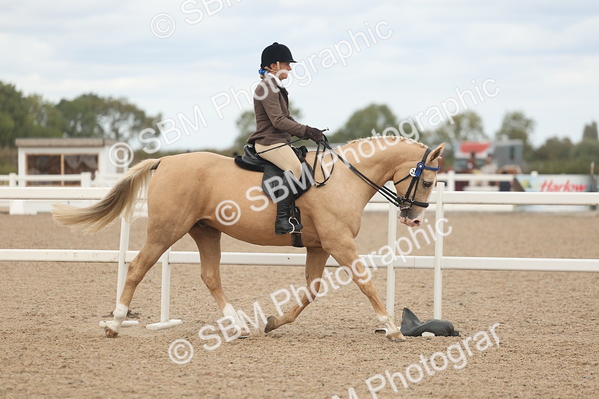 SBM_18127 - Class 315 - Best Horse-Rider Combination
