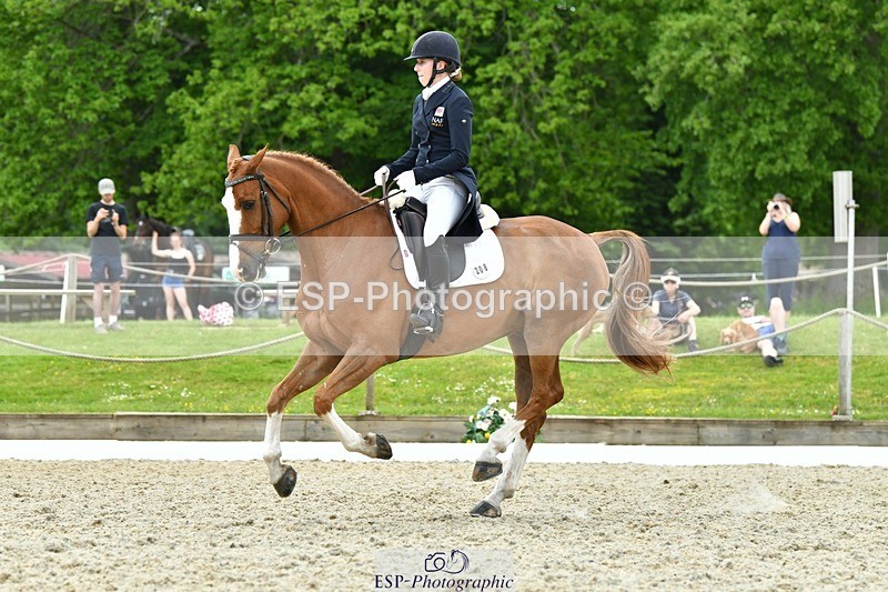 230525-122143-04232 - 208-NICO-Holly_Clarke-WEDTrotUp+DR